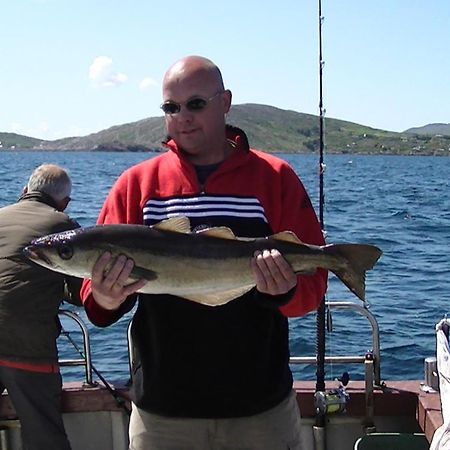 Sneem River Lodge Bed & Breakfast Dış mekan fotoğraf